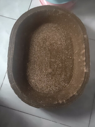 猫窝
