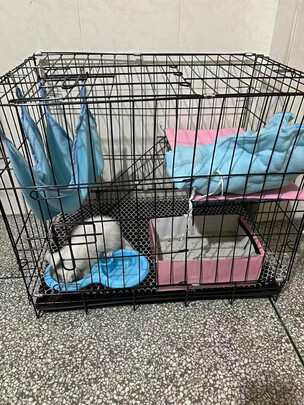  猫笼