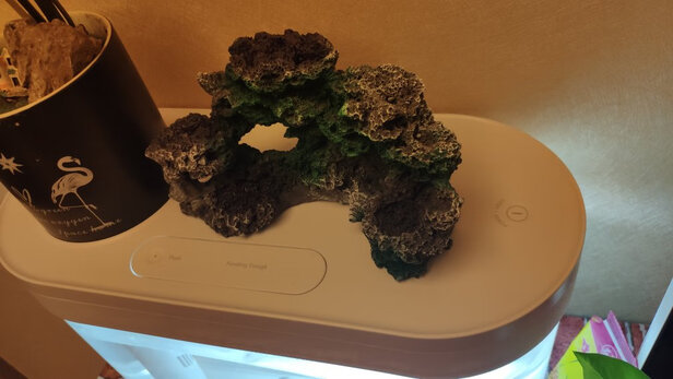 鱼缸装饰假山