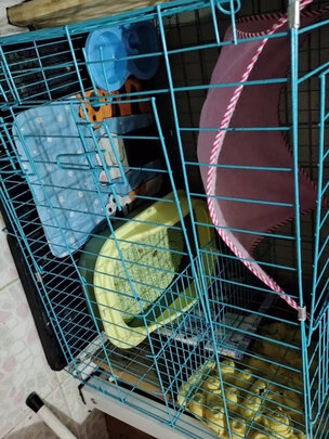  猫笼