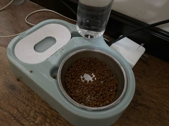 猫碗狗碗