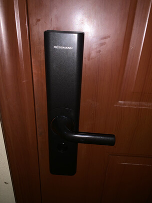 德施曼T862指纹锁|【电商快报】德施曼T86II指纹锁怎么样？上手一周讲体验真相？