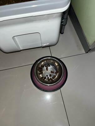 狗粮