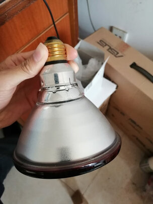 红外线烤灯