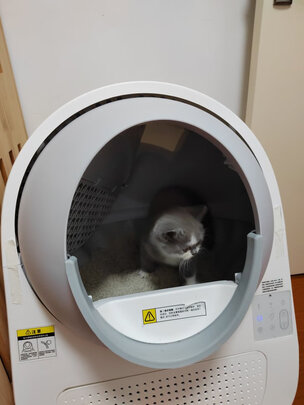 猫砂铲