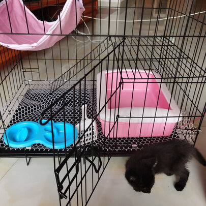  猫笼