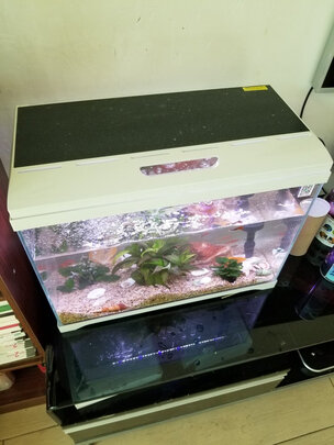 桌面鱼缸