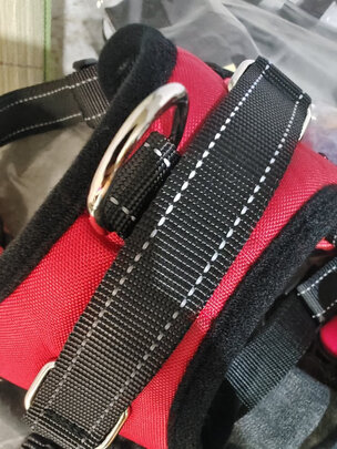 狗狗牵引绳
