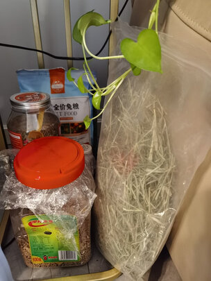 兔粮