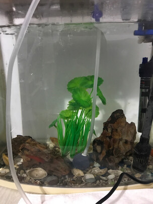 鱼缸氧气泵