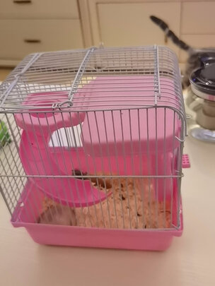 仓鼠水壶