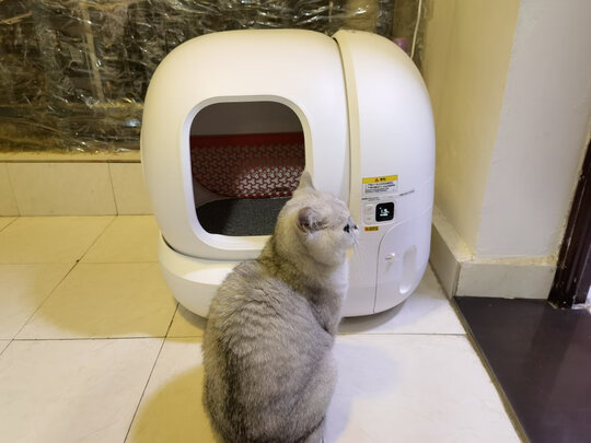猫砂盆