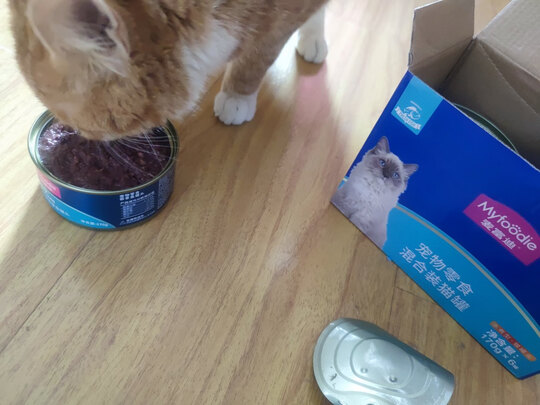 猫罐头