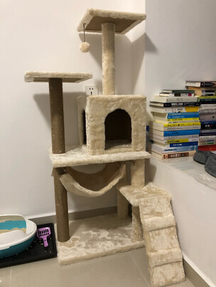 猫爬架