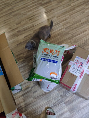 水草泥