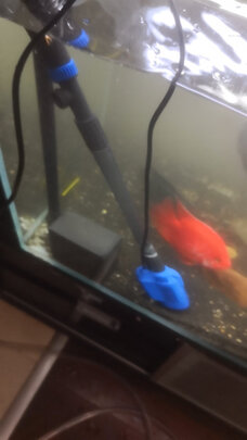 鱼缸换水器