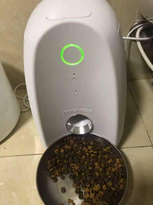 宠物水壶