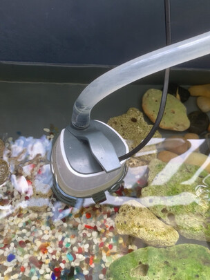 鱼缸潜水泵