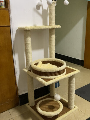 猫爬架