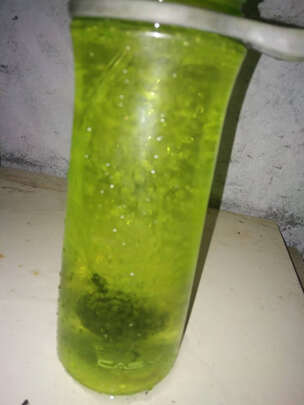 鱼缸氧气泵