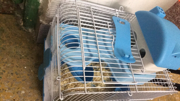 仓鼠水壶