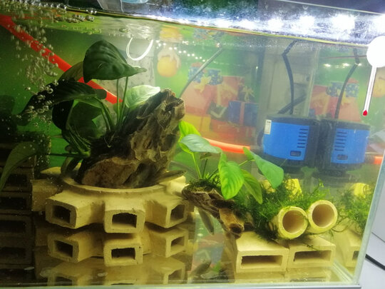 鱼缸换水器