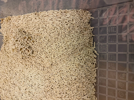 豆腐猫砂