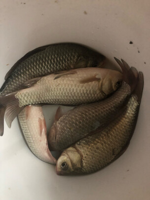 北溟鱼鱼竿公司简历