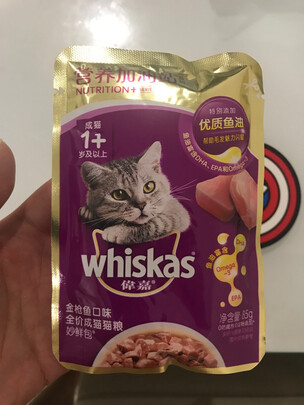 猫罐头