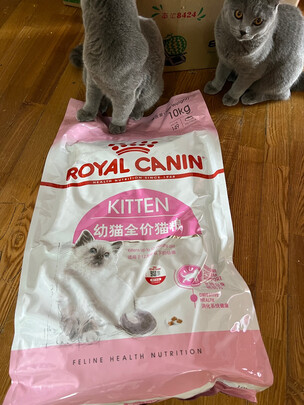 豆腐猫砂