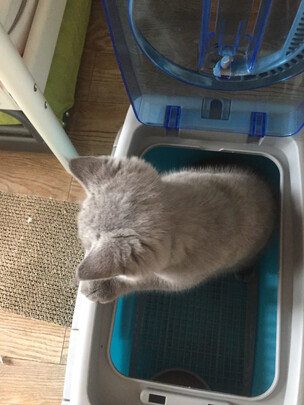 宠物航空箱
