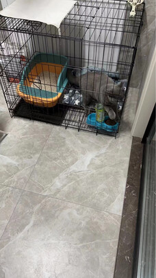  猫笼