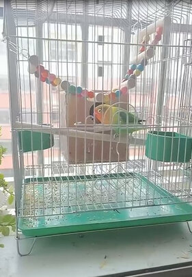 鸟笼