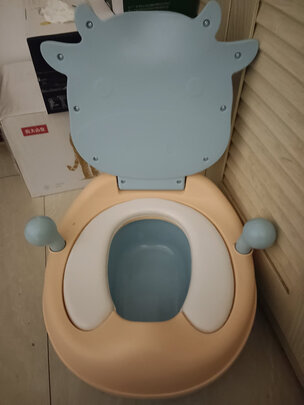 儿童座便器