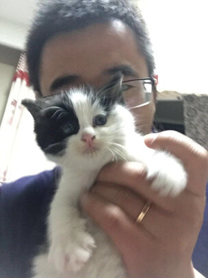  猫笼