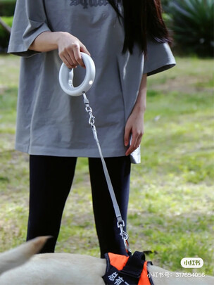 狗绳