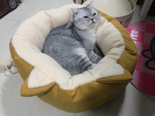 猫粮