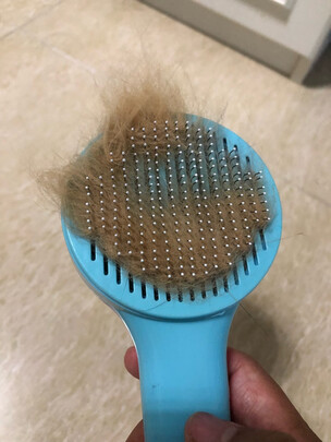 猫狗梳子
