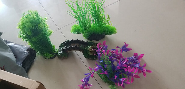 水草泥