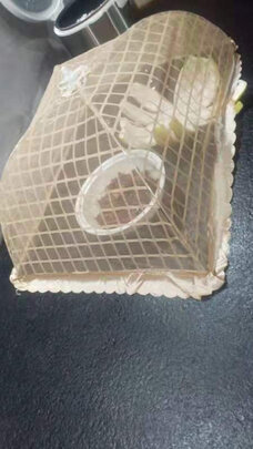 菜罩食物罩