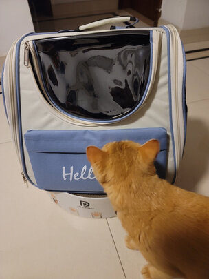 猫包