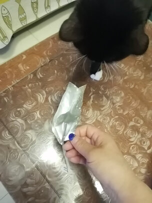 猫条猫零食