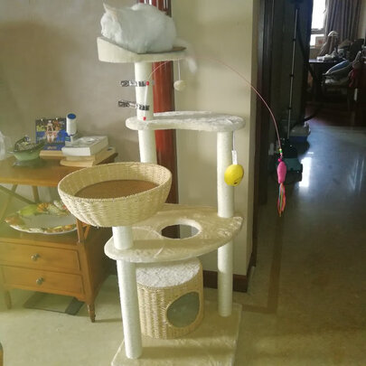 猫爬架