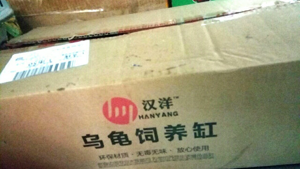 乌龟缸