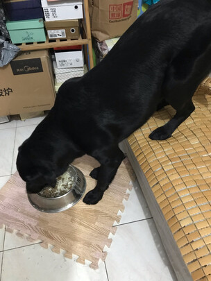 狗狗磨牙棒