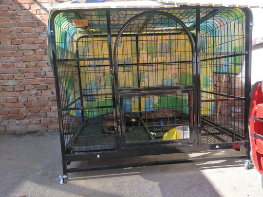  狗笼
