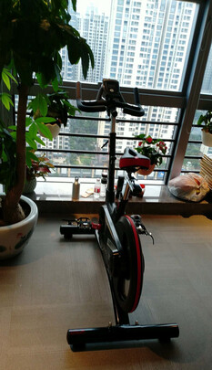 力动TT45跑步机|力动TT45跑步机独家揭秘评测真相,不看后悔!