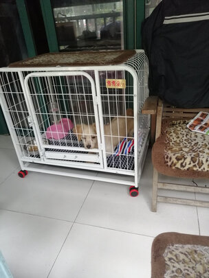 狗笼