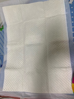 宠物尿垫