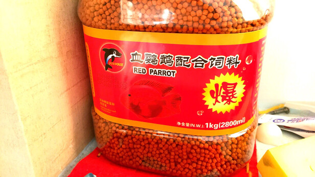 鱼粮